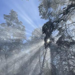 武藤兰あさかわ无码流出
