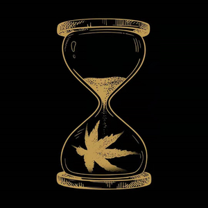 武藤兰あさかわ无码流出
