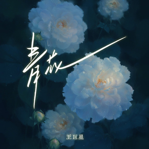 武藤兰あさかわ无码流出
